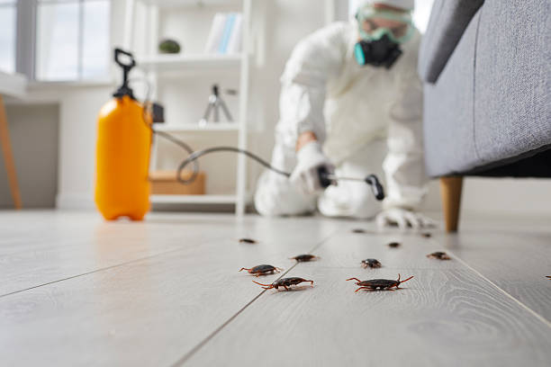 Trusted Emergency Pest Control service in Loudoun Valley Estates, VA - Nex Pest Control