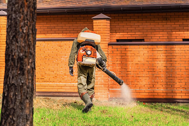 Trusted Ant Control service in Loudoun Valley Estates, VA - Nex Pest Control